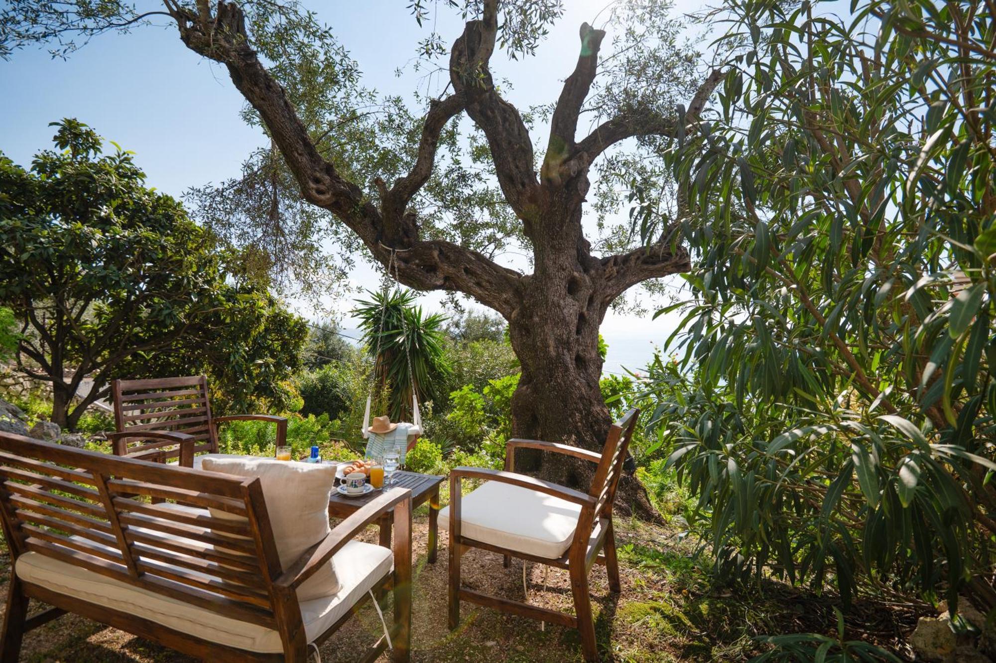 Sunrise View Apartments Barbati Exterior foto